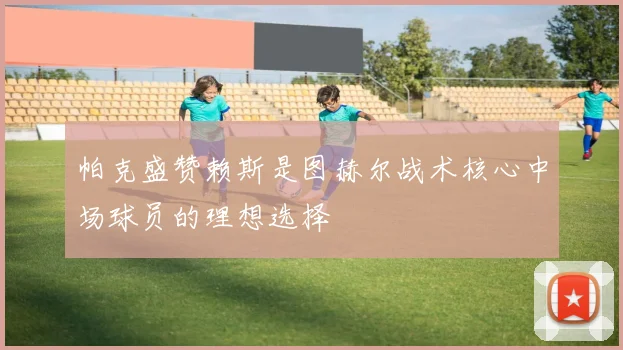 帕克盛赞赖斯是图赫尔战术核心中场球员的理想选择