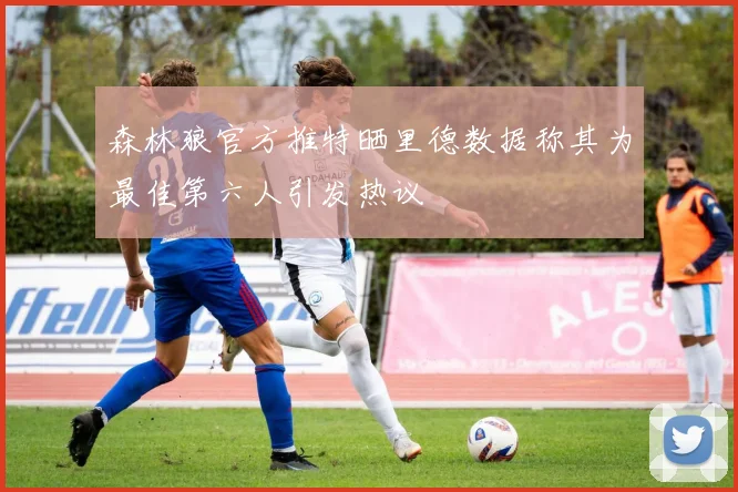 森林狼官方推特晒里德数据称其为最佳第六人引发热议
