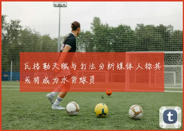 瓦格勒天赋与打法分析媒体人称其或将成为水货球员